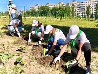 Первый опыт трудовой деятельности в летние каникулы получают более 5,2 тысячи подростков