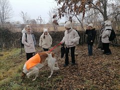 В Ершове для юных любителей животных организовали необычную встречу