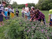 Каждый день ершовских ребят интереснее предыдущего