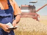 Продолжается работа над повышением роста заработной платы в агропромышленном комплексе области