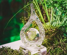 Объявлен прием заявок на IХ Международный экологический телефестиваль «Территория завтра»