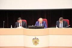 Глава Ершовского района Светлана Зубрицкая приняла участие в депутатских слушаниях облдумы