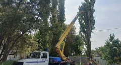 На территории Ершовского района проводятся плановые работы по санитарной обрезке деревьев