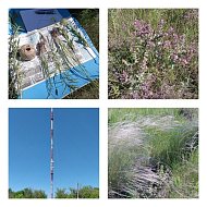 Юные ершовские исследователи начали новый сезон с экспедиции по родной степи