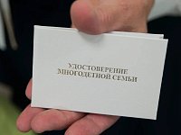 Удостоверение единого образца получили 21,9 тысячи многодетных семей региона