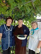 Жителям ершовского села «серебряные» волонтеры помогли собрать урожай