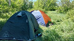 Юные ершовские исследователи начали новый сезон с экспедиции по родной степи