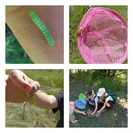 Юные ершовские исследователи начали новый сезон с экспедиции по родной степи