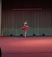 Артисты Саратовского академического театра оперы и балета порадовали ершовцев своим выступлением