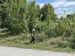 МКУ «Благоустройство» в плановом порядке наводит порядок в Ершове