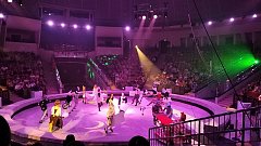 Поездка ершовцев в цирк: день, наполненный волшебством и улыбками