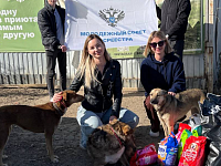 #Мастерская ДОБРОтворчества: выпуск № 29