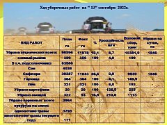 В Ершовском районе собрано более 260 тысяч тонн зерна нового урожая
