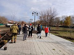 Озеленение городских территорий: совместная работа на благо Ершова
