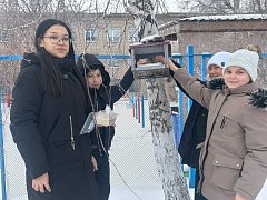 Зимняя забота: ершовские школьники объединяются, чтобы поддержать птиц в суровые холода