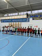 В Ершове  прошел турнир на призы ФОКа «Дельфин», посвященный Всемирному дню футбола