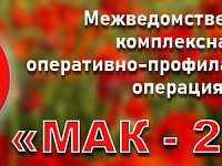 Ершовцев предупреждают об ответственности за незаконное культивирование растений, содержащих наркотические вещества
