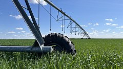 ООО «МТС «Ершовская»: поливной сезон стартовал