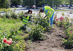 Работы по благоустройству города Ершова продолжаются
