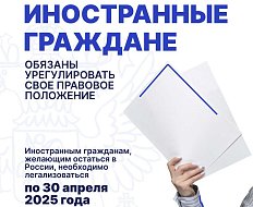 Иностранные граждане, незаконно находящиеся на территории РФ, обязаны урегулировать свое правовое положение