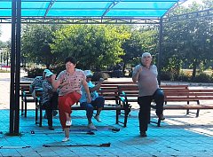 Ершовским сторонникам активного долголетия – «Лето в помощь»