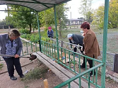 Осень — время субботников: порядок в родном краю поднимает настроение ершовским сельчанам