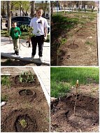 Ершовцы, участвуя в международной акции «Сад памяти», посадили саженцы рябины, березы, каштанов и сирени