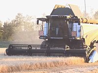 Глава Ершовского района Константин Мызников поздравил аграриев с первыми 100 тыс. тонн нового урожая