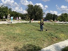8 августа в Ершове прошел субботник в парке имени Пушкина