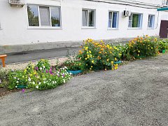 Работа МКУ «Благоустройство» вдохновляет ершовцев преображать придомовые участки