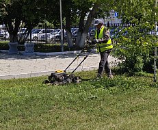 Работы по благоустройству города Ершова продолжаются