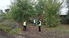 МКУ «Благоустройство» продолжает системную работу по поддержанию чистоты на ершовских улицах