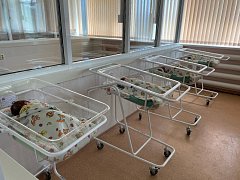 ЭКО и открытие новых региональных сосудистых центров помогают решать вопросы демографии в регионе