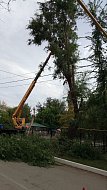На территории Ершовского района проводятся плановые работы по санитарной обрезке деревьев