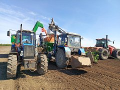 ООО «МТС «Ершовская»: стабильное развитие и вклад в аграрный сектор региона