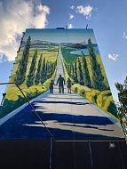 Саратовский мурал стал победителем голосования в сети фестиваля «ФормАРТ»