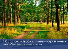В Саратовской области ввели ограничения на пребывание граждан в лесах