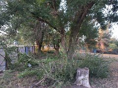 Ершовские сельчане заботятся о красоте своей малой родины