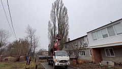 В Ершове проводят плановую опиловку и вывоз аварийных деревьев