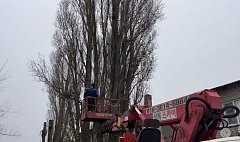 В Ершове проводят плановую опиловку и вывоз аварийных деревьев