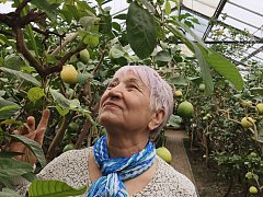 Туристов из Ершова погрузили... «в атмосферу баунти»