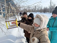 Зимняя забота: ершовские школьники объединяются, чтобы поддержать птиц в суровые холода