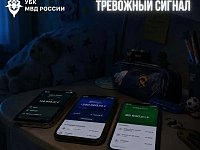 Ребёнок вдруг стал интересоваться вашими картами или просит «ненадолго отдать смартфон»? Это может быть опасно