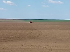 На ершовских полях посевная идет полным ходом