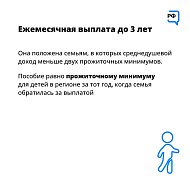 Для семей с детьми до 3 лет предусмотрены различные виды социальной поддержки