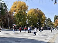  Рейтинговое голосование