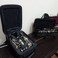 Ершовскую школу искусств посетила министр культуры области Наталья Щелканова 