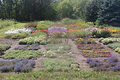 Экскурсия ершовцев в «Ботанический сад» Саратова: как растения могут улучшить жизнь пожилых людей