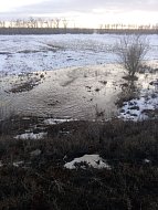 В Ершовском районе весенний паводок опасений не вызывает