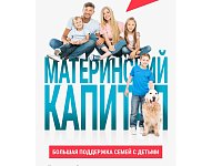 Нацпроект «Семья»: в Саратовской области меры поддержки охватывают семьи с детьми, а также пожилых граждан